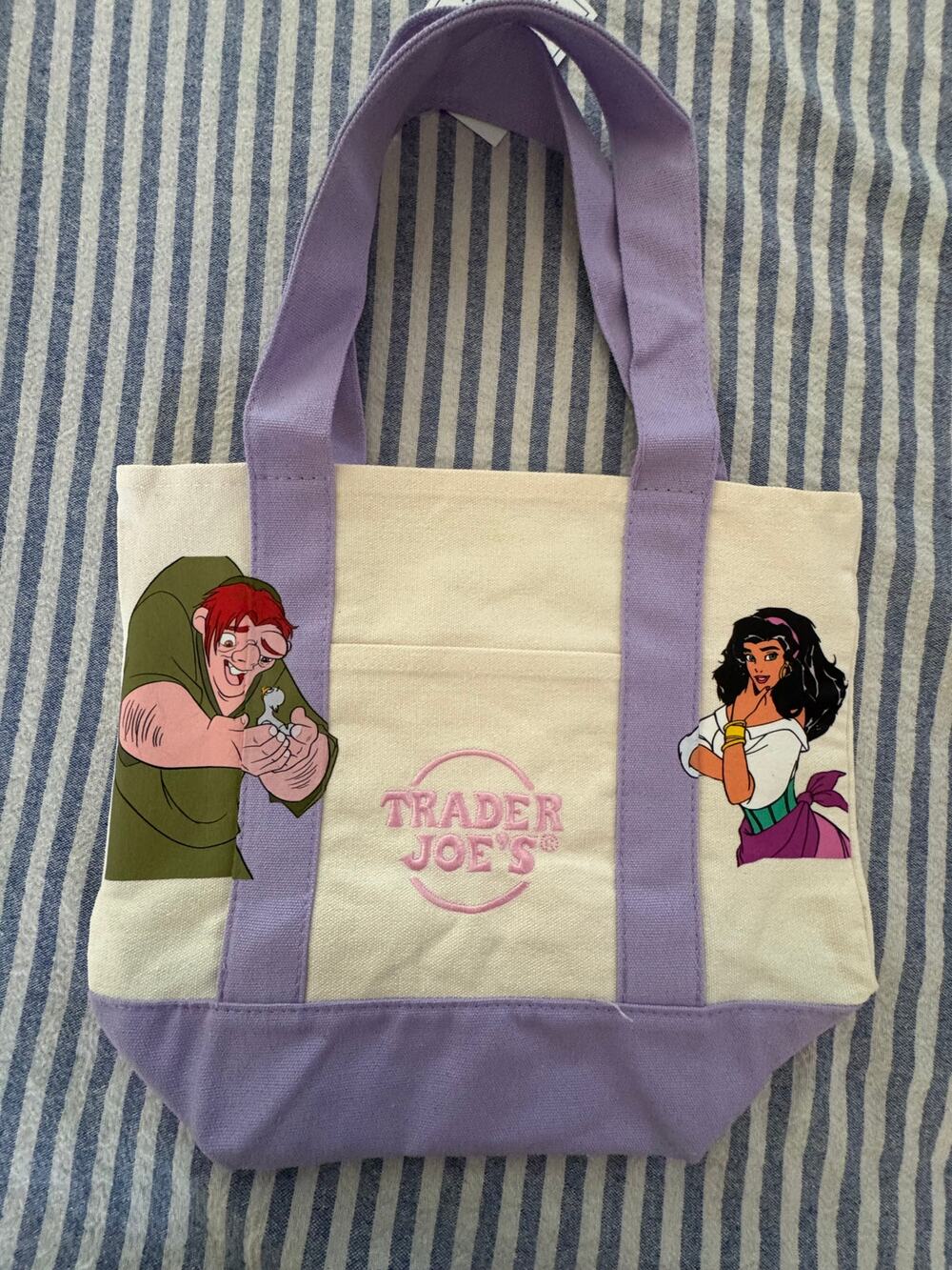 Disney Notre Dame Custom Made Trader Joes Mini Tote